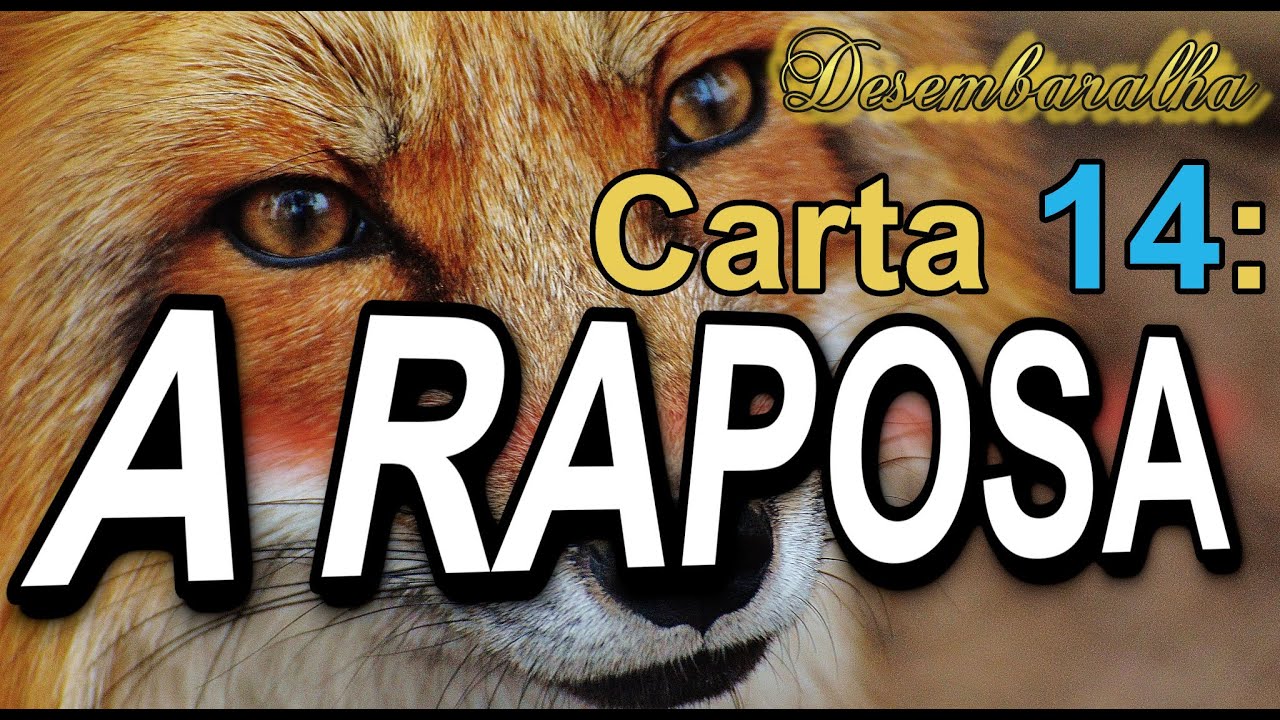 Descubra os significados da carta A RAPOSA no baralho cigano