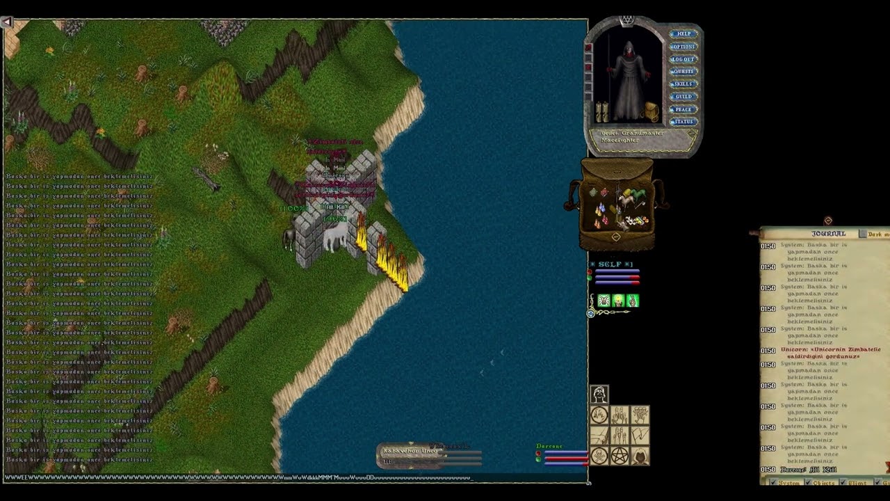 Ultima Online ROYAL UO | NIGHT action