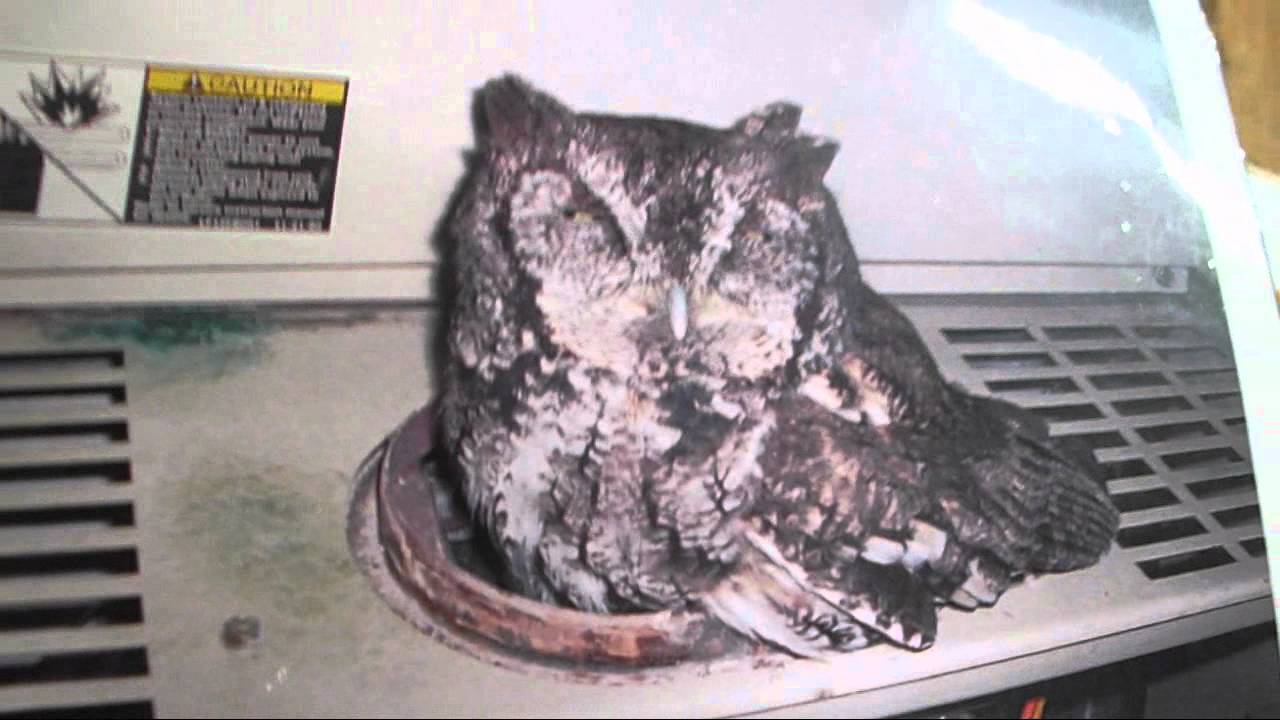Some of the worst HVAC installs in Bucks County!