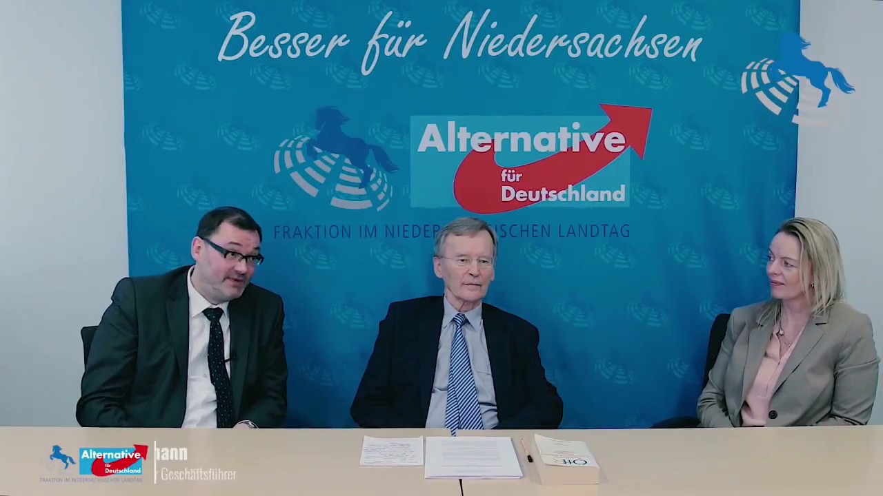[Kurzversion] Prof. Schachtschneider im Interview zum Lex-AfD-Rechtsgutachten