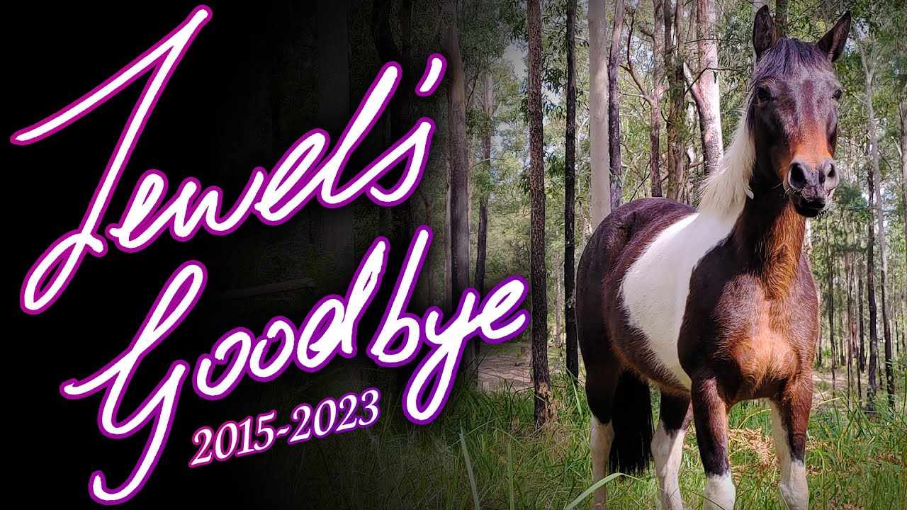 Jewel's Memorial,  Remember Me 🐴Australian Horse