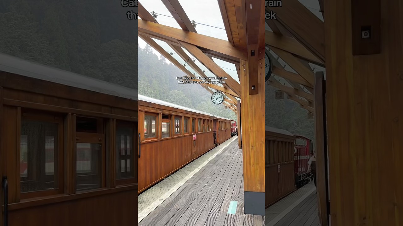 Catching the Alishan wooden train that only runs one day per week