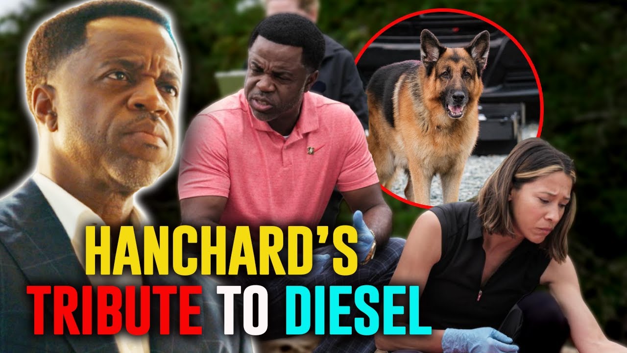 What Really Happened to Kevin Hanchard From Hudson and Rex?