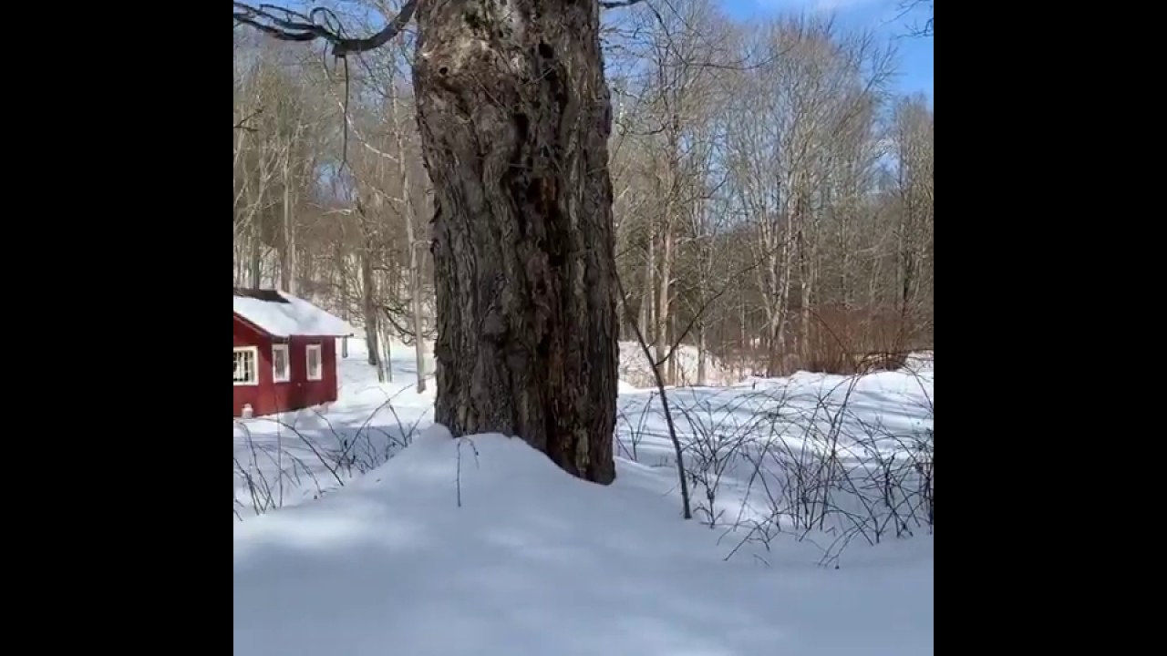 3 FEET OF SNOW FOR SNOWSHOEING, SKIING, TUBING AND SNOWMOBILING IN UPSTATE NY