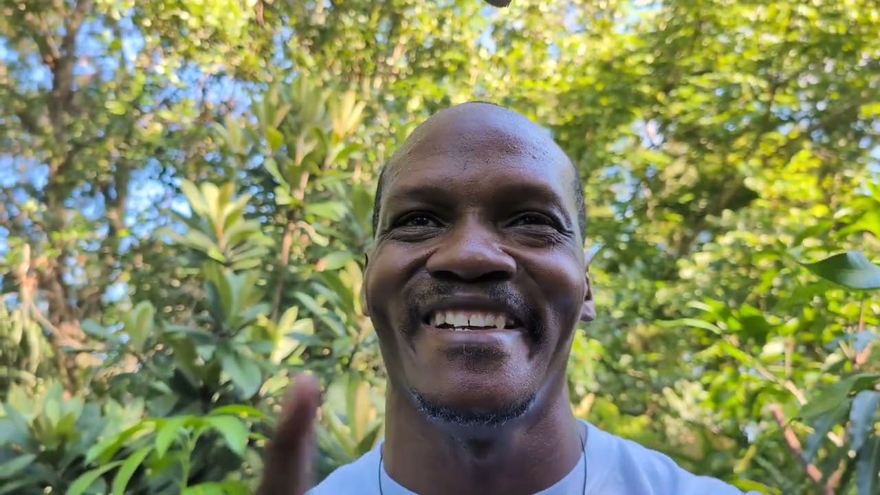 Must know if you're GROWING MANGO TREES 