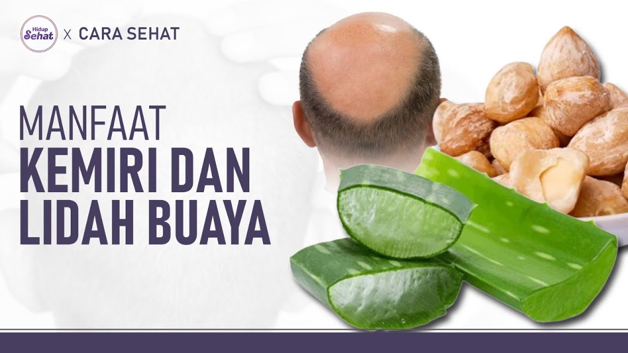 Bikin Rambut Lebat! Ini Cara Pakai Kemiri dan Lidah Buaya | Hidup Sehat tvOne