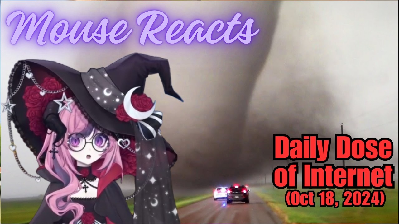 Mouse Reacts To Daily Dose of Internet (Craziest Nature Videos of The Decade) (Oct 18, 2024)