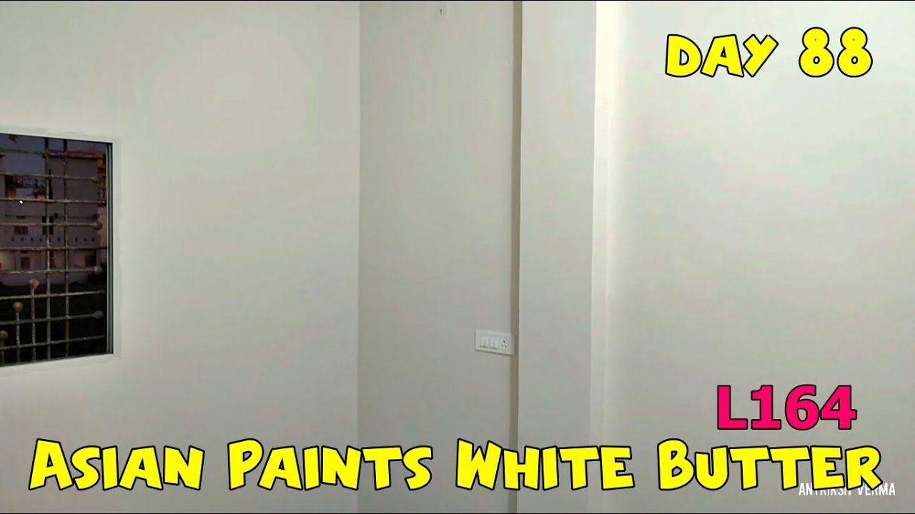 Asian Paints White Butter L164 For Home | Home Construction Day 88