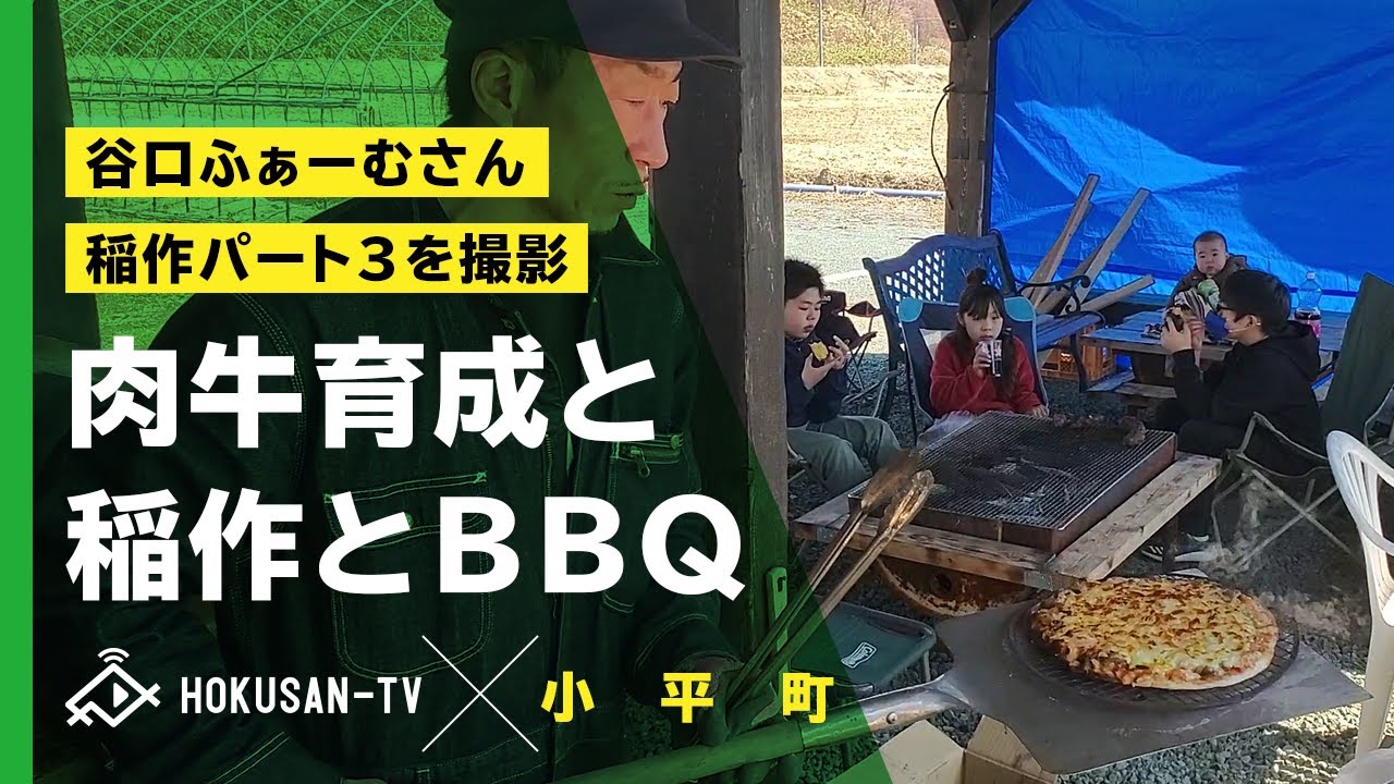【小平町】稲作パート3）谷口ふぁーむさんで肉牛と稲作を見てから家族でBBQ！ピザ窯に石焼き芋と…最高です♪～北海道キャンピングカー冒険 62/179市町村