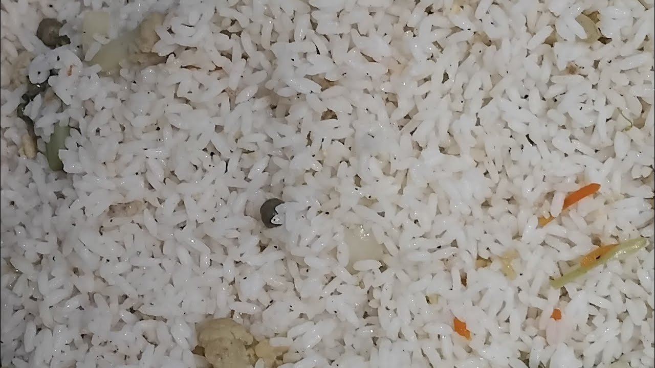 @Moincateringservice