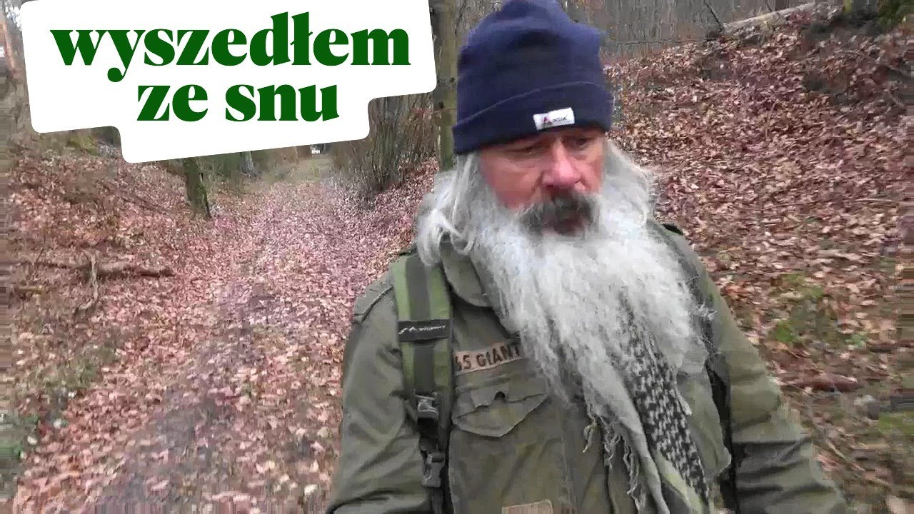 Zapraszam na spacer po lesie