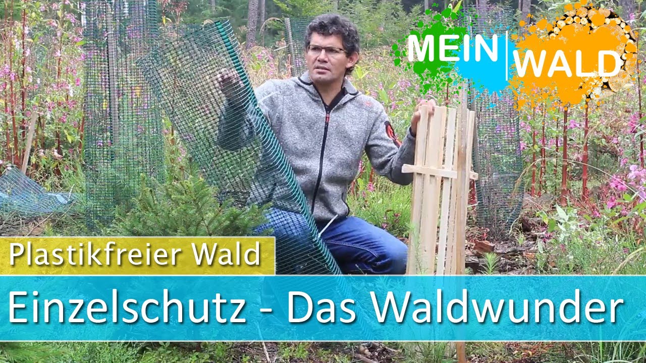 Plastikfreier Wald - Alternative zum Einzelschutz: Das WALDWUNDER