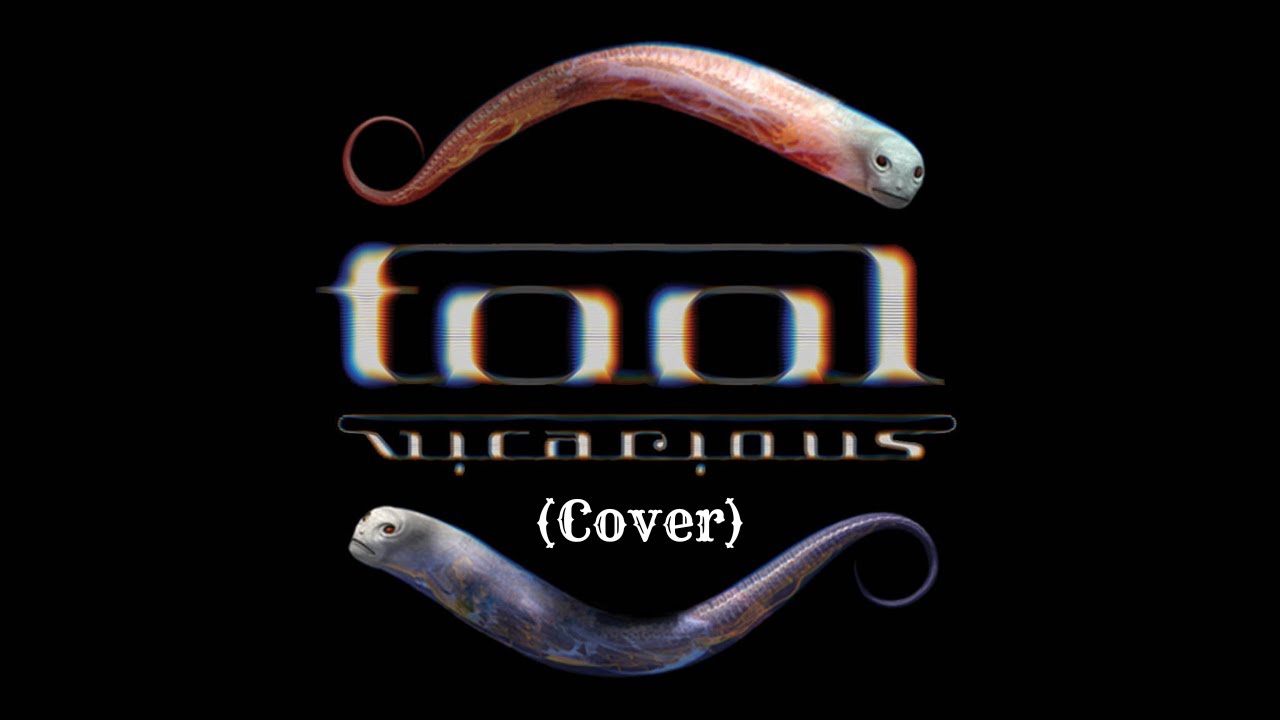 TOOL – Vicarious | Guitar Cover