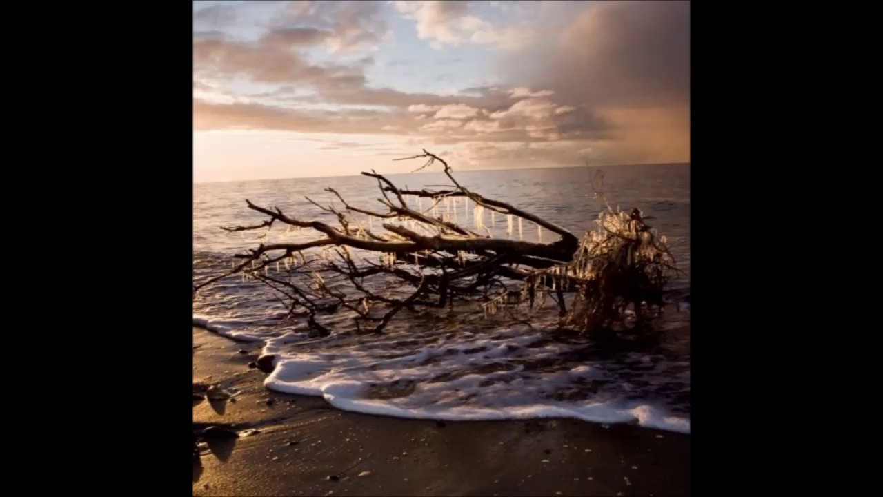 Einsigartig - Treibgut
