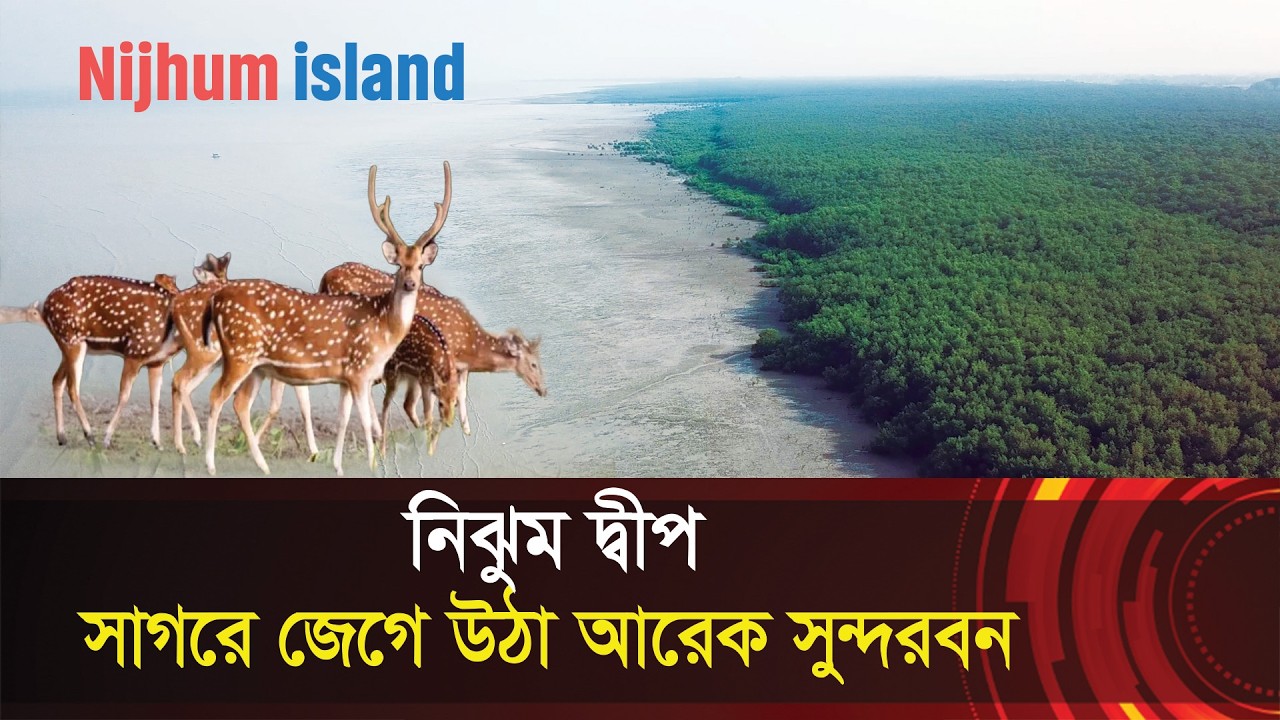 নিঝুম দ্বীপ : বঙ্গোপসাগরে জেগে উঠা আরেক সুন্দরবন !! Nijhum Dwip, Most beautiful island in Bangladesh