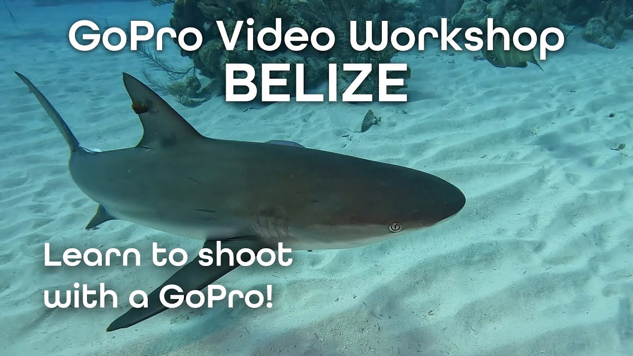 GoPro Hero10 Underwater Video Workshop - Best underwater settings!