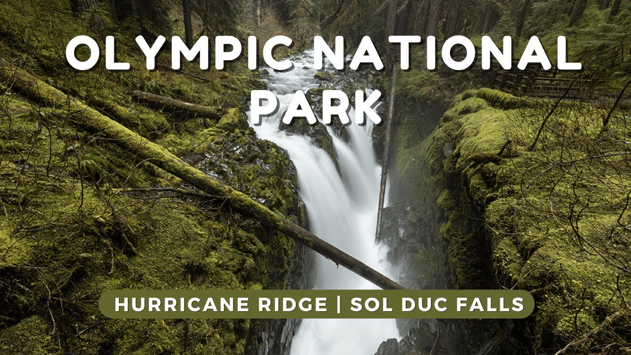 Hurricane Ridge and Hiking Sol Duc Falls | Olympic National Park Vlog