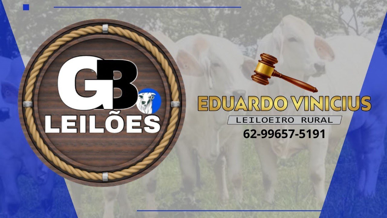 GB LEILÕES - COLINAS DO SUL - GO - 02/03/2026