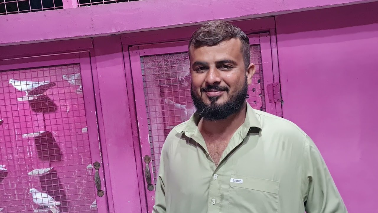 khalefa naeem baloch k kabootaro ka shoq aur raat mai kabootar lagany ka asan tareqa