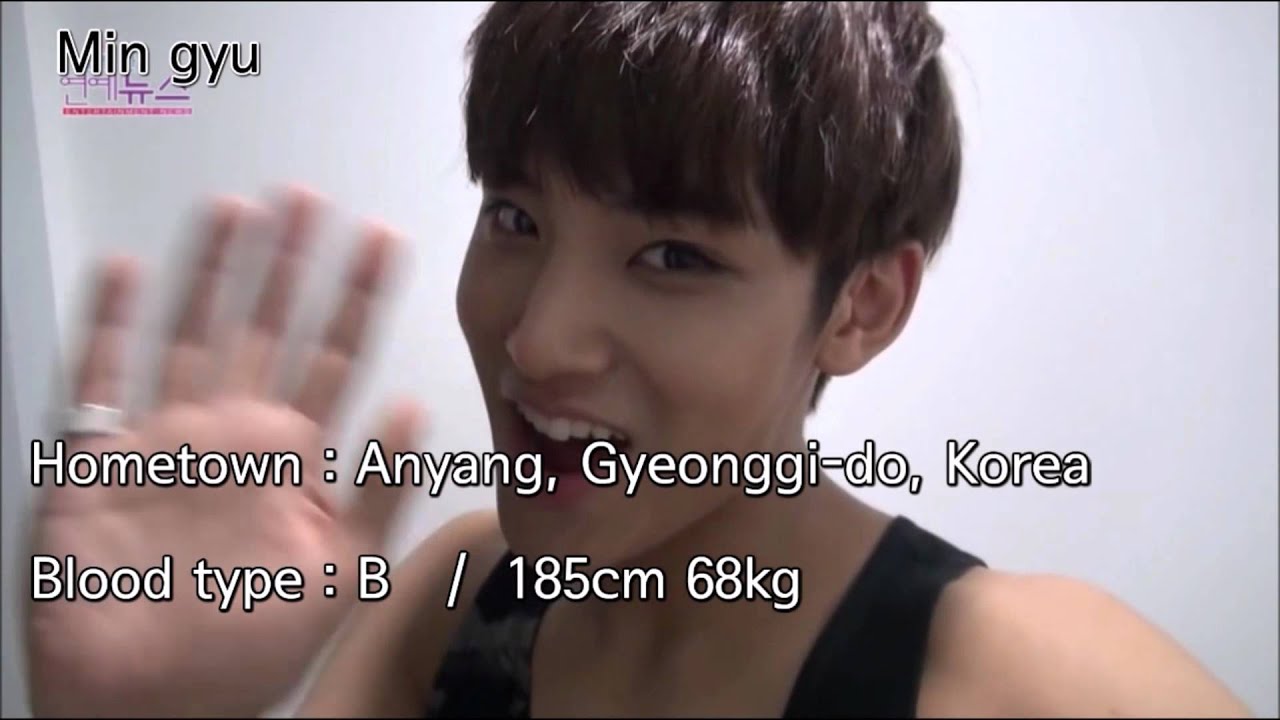 SEVENTEEN members profile (세븐틴 멤버 구별 프로필)
