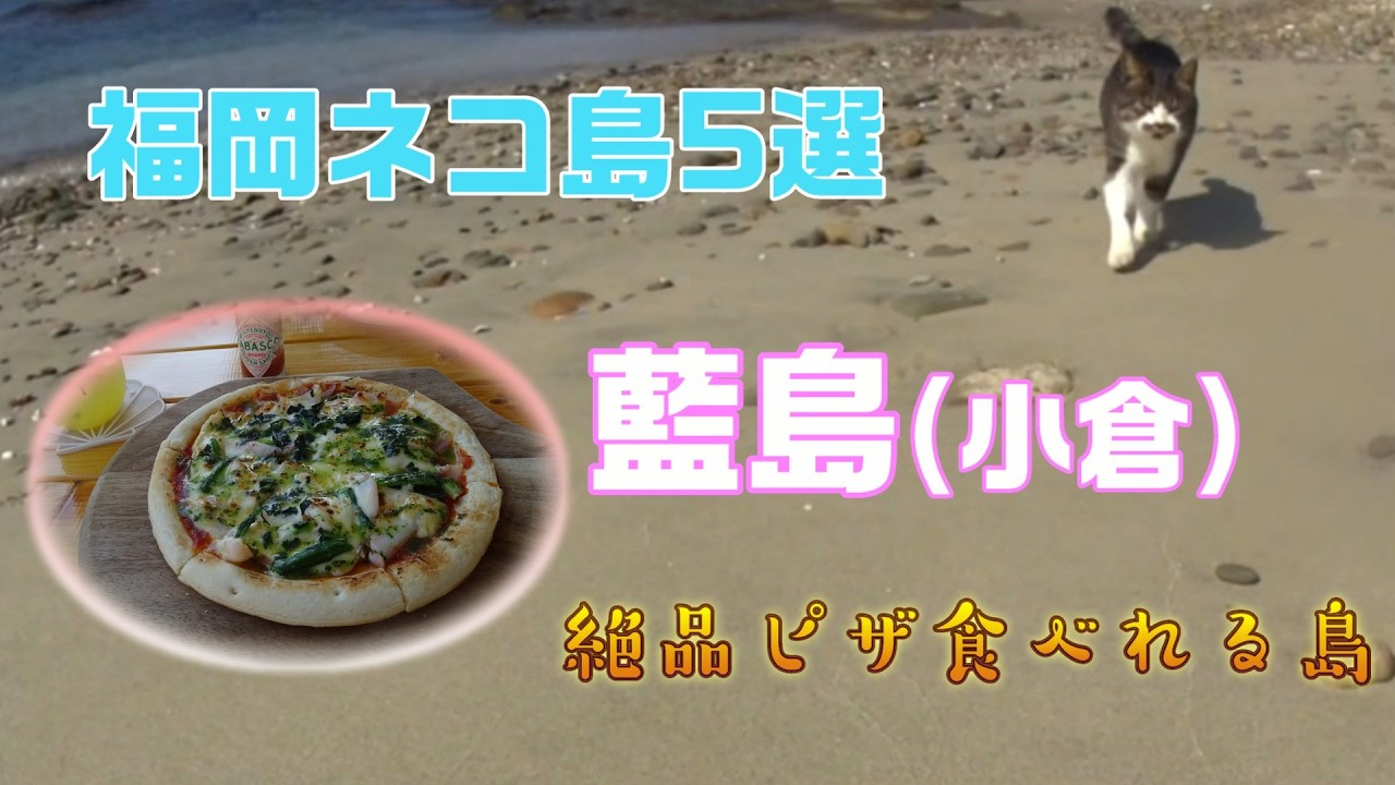 福岡ネコ島5選　その③　藍島(小倉)