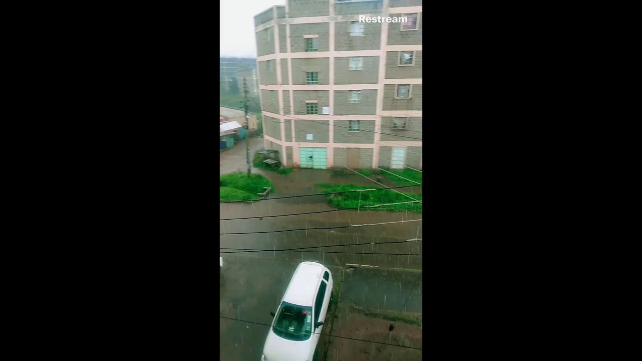 Watching rain all day 🌧️
