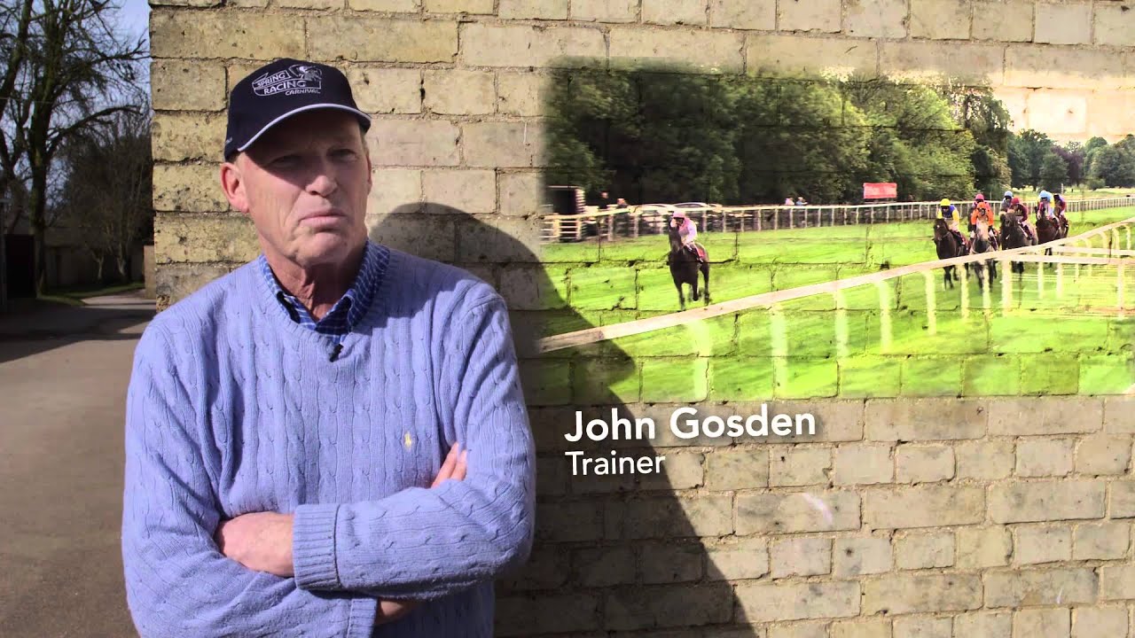 The TBA - protecting the future of the British Stayer