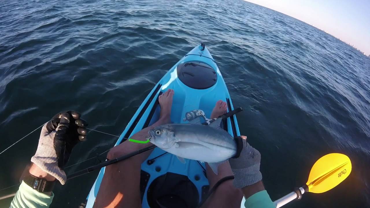 10 1 16 Juvenile Kings, Bonita, Huge Blue Runner, and Remora