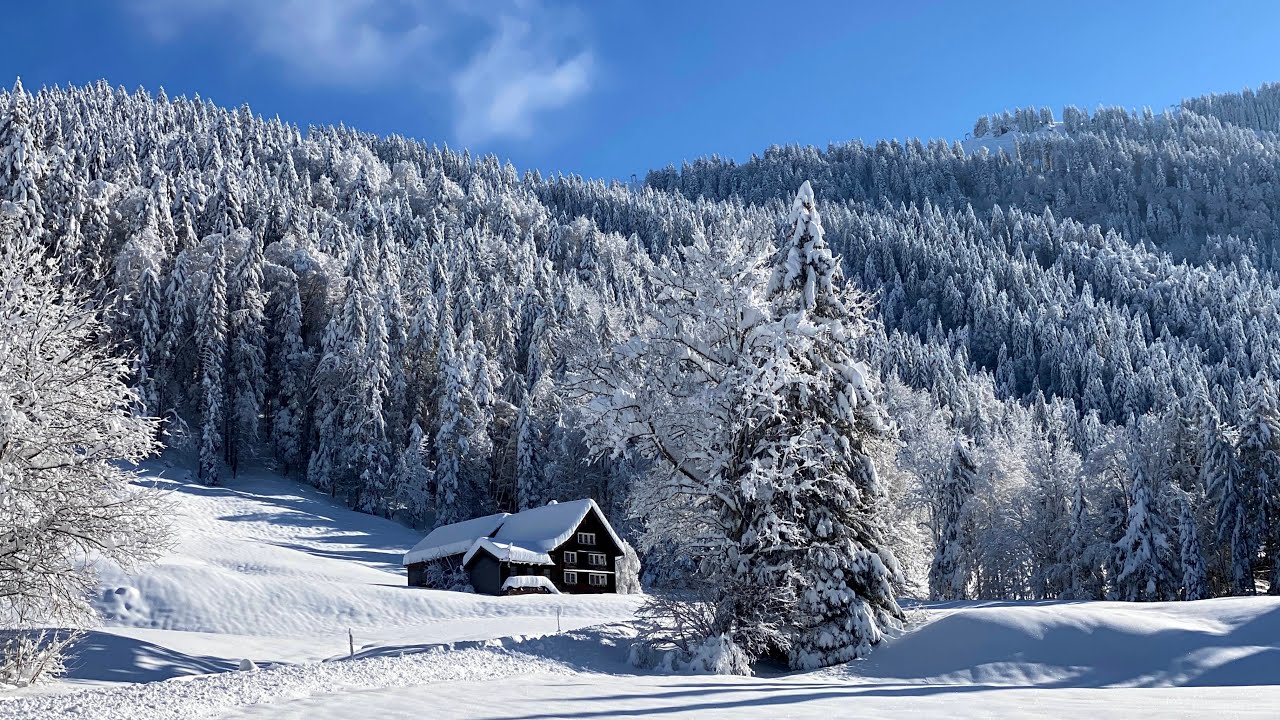 Toggenburg, das schöne Steintal ( Ebnat Kappel ) - Jodlerklub Ebnat-Kappel - Naturjodel: Em Köbi sin