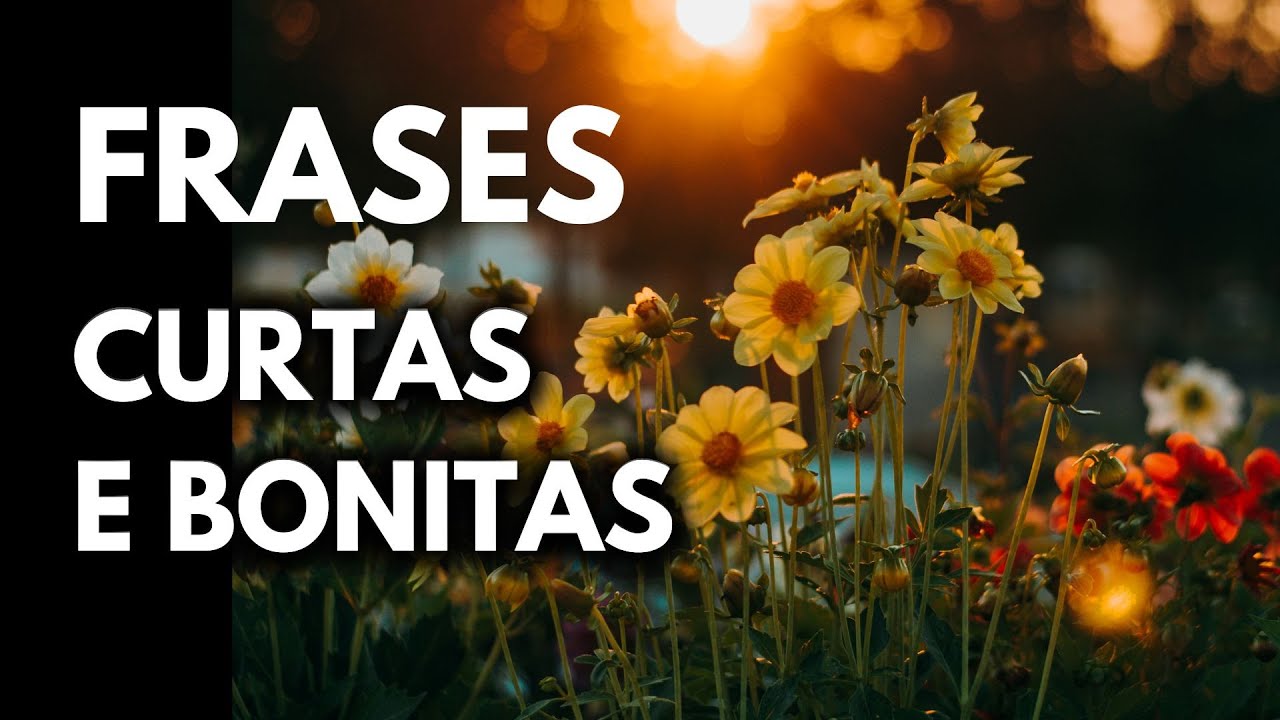 FRASES CURTAS E BONITAS - REFLEXÕES PRA STATUS, LEGENDA - MOMENTO PROFÉTICO