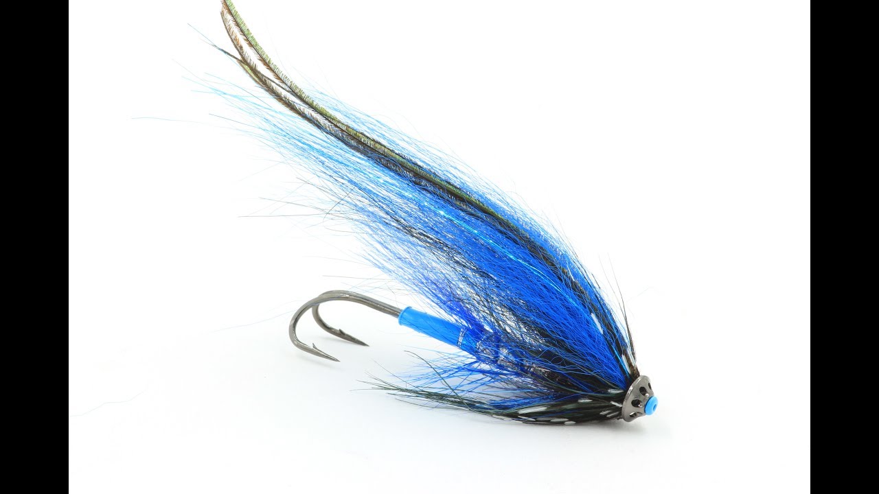 Tying The Foxee Dog