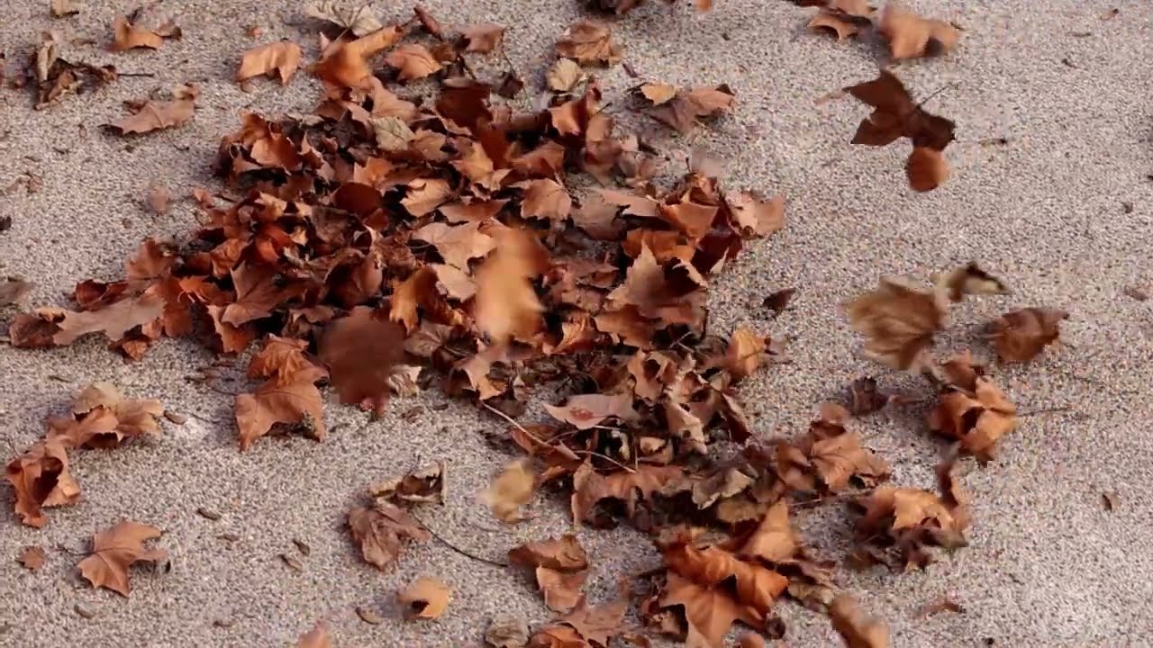 Gabriel- ქარი ქრის