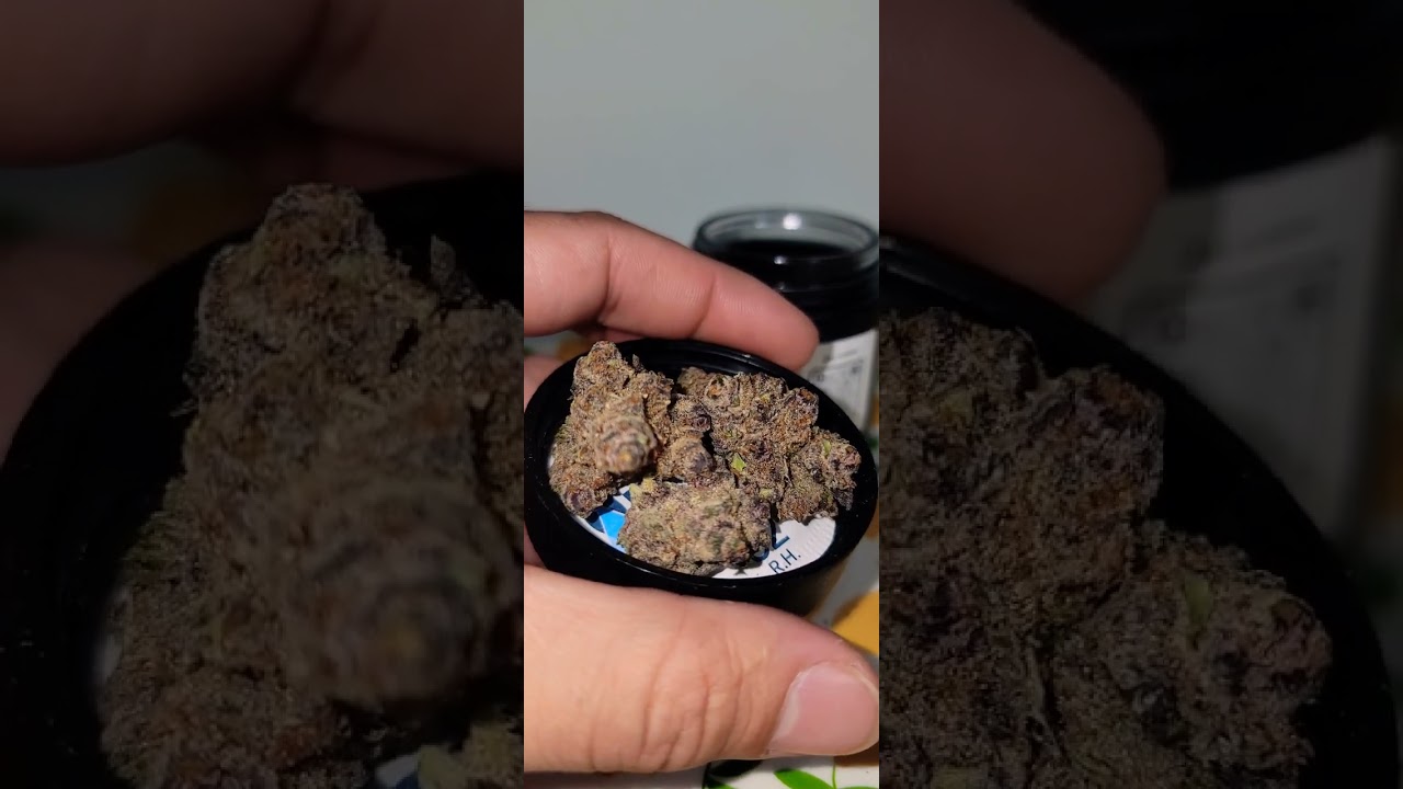 California Gold Farm | Triple Cherry 🍒 🍒🍒