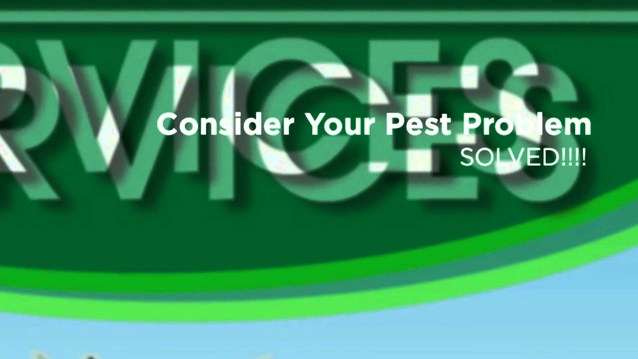 Pest Control Service Dallas Tx Call (682) 970-6555