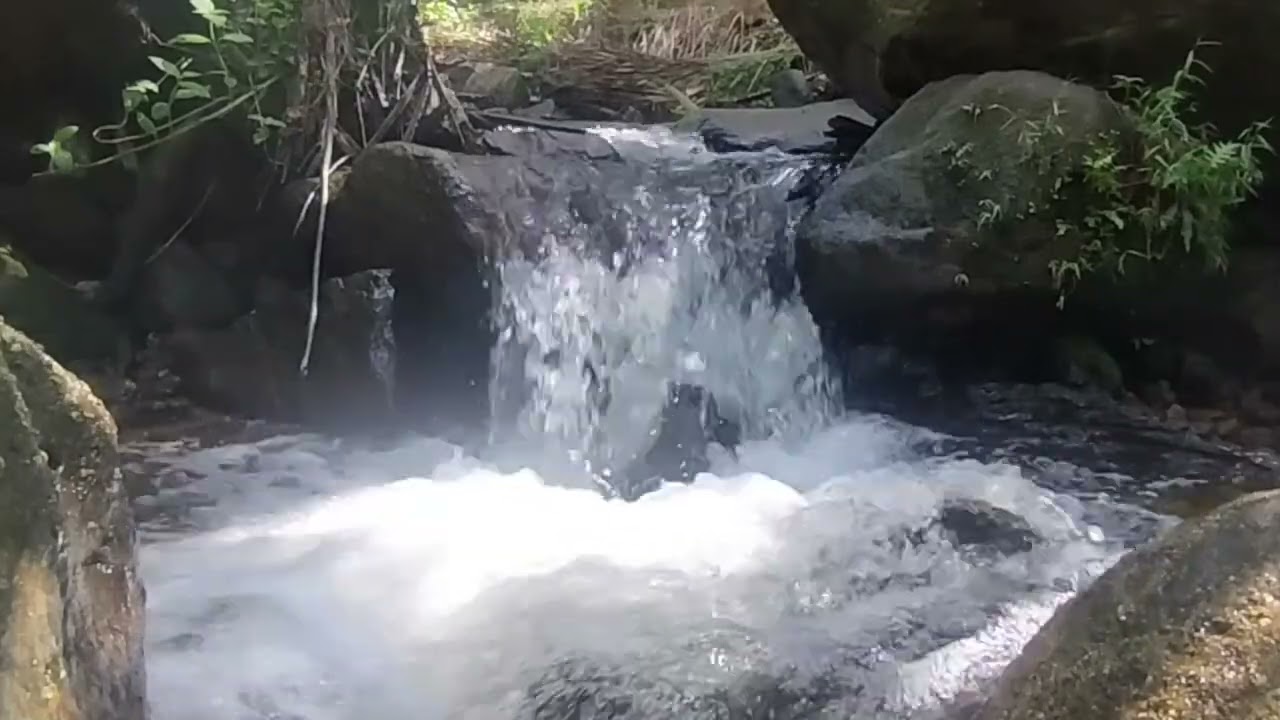 Gentle Stream Ambience  Clear Water Flowing Over Rocks