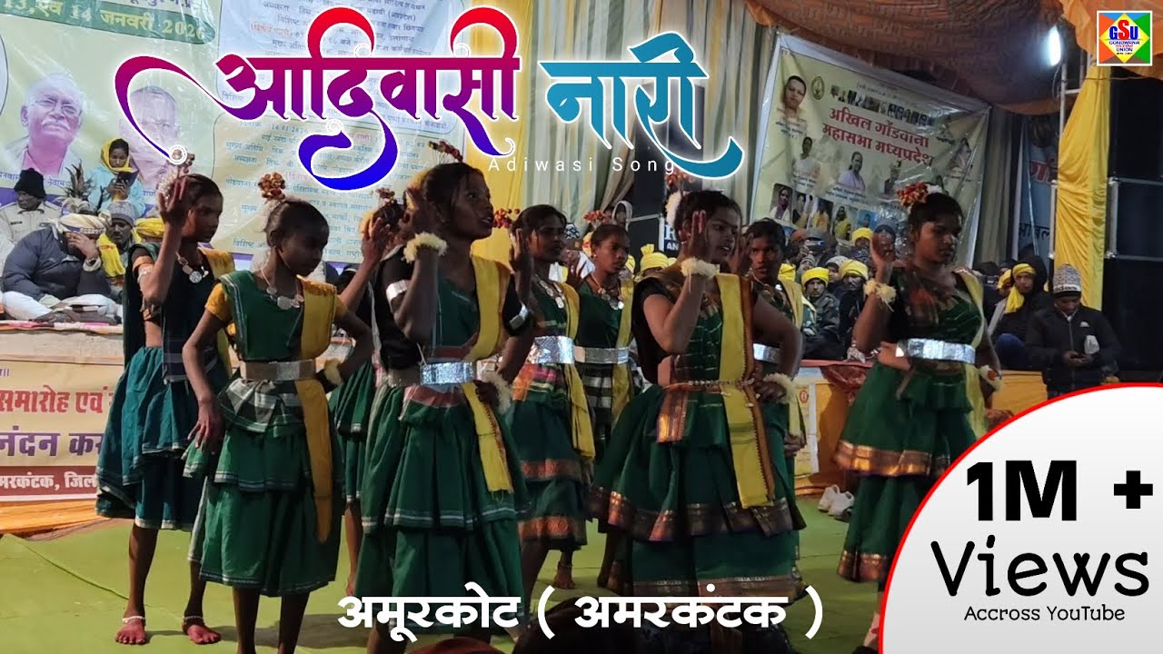 अमूरकोट (अमरकंटक) रात्रि प्रोग्राम | आदिवासी नारी | Recording dance