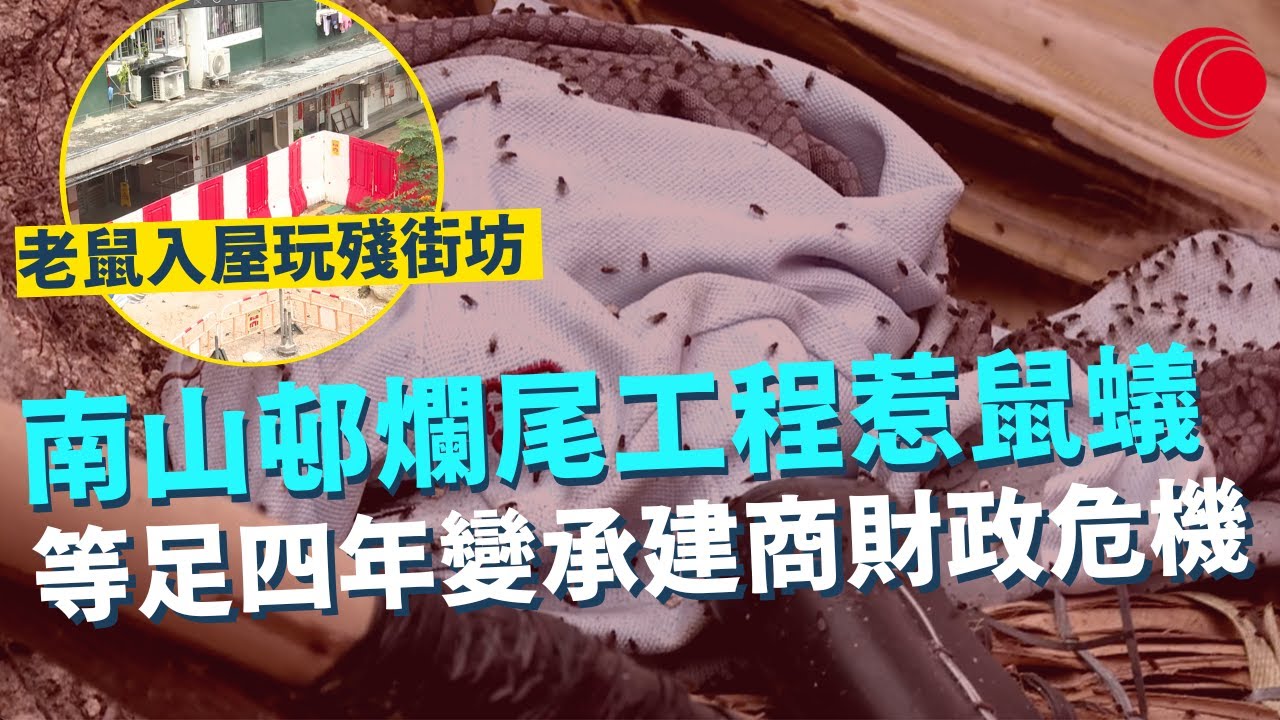 一線搜查｜南山邨爛尾工程惹鼠蟻 等足四年變承建商財政危機 地盤老鼠入屋玩殘街坊｜屯門螺旋刀坑渠蓋被撤換？ 街坊仆傷半年民政署承認有危險性 ｜475集｜有線新聞 簡采恩 羅頌欣｜HOY TV 77台