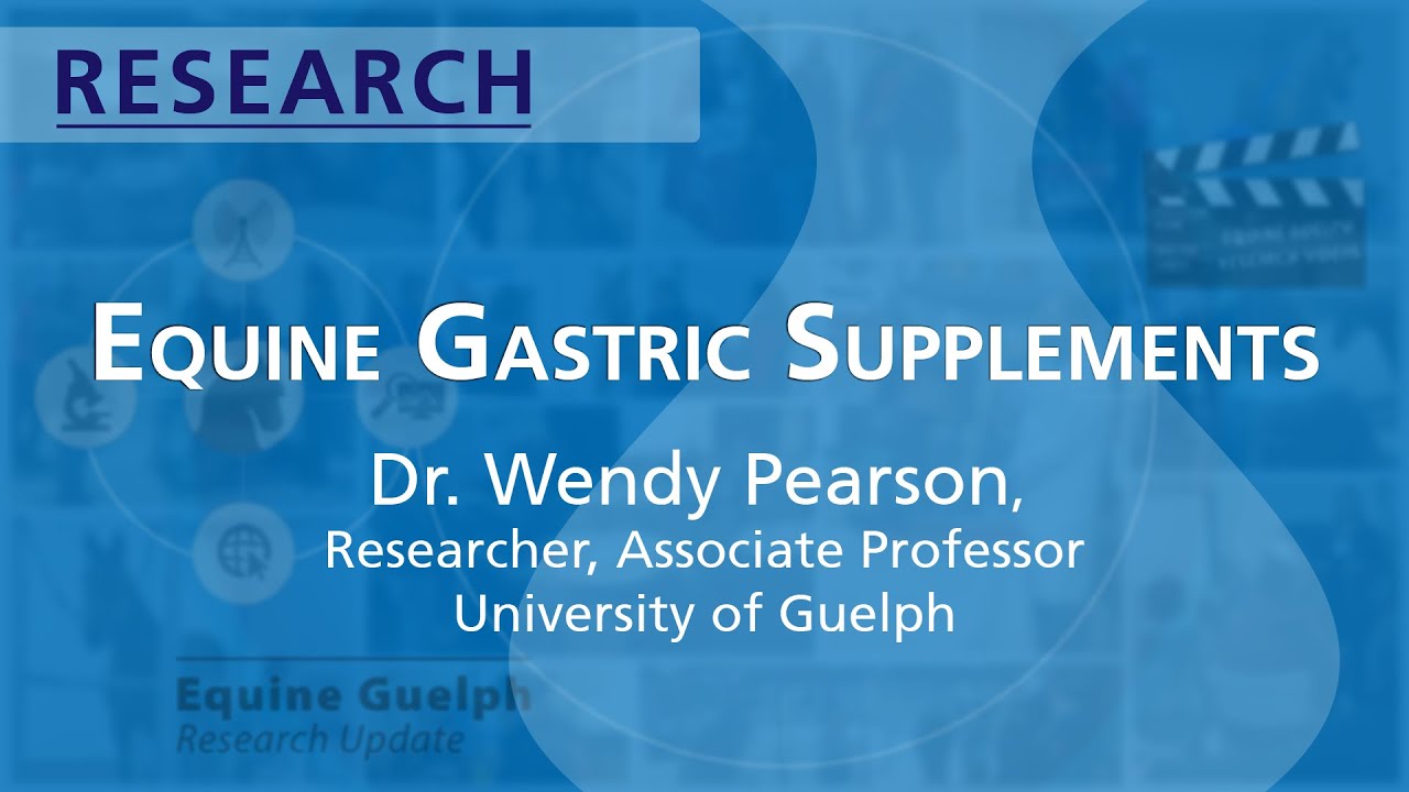 Equine Gastric Supplements - Dr. Wendy Pearson