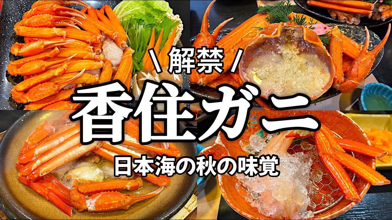 【香住】2023年9月解禁！タグ付き香住ガニ・贅沢フルコースを食べ尽くす！！