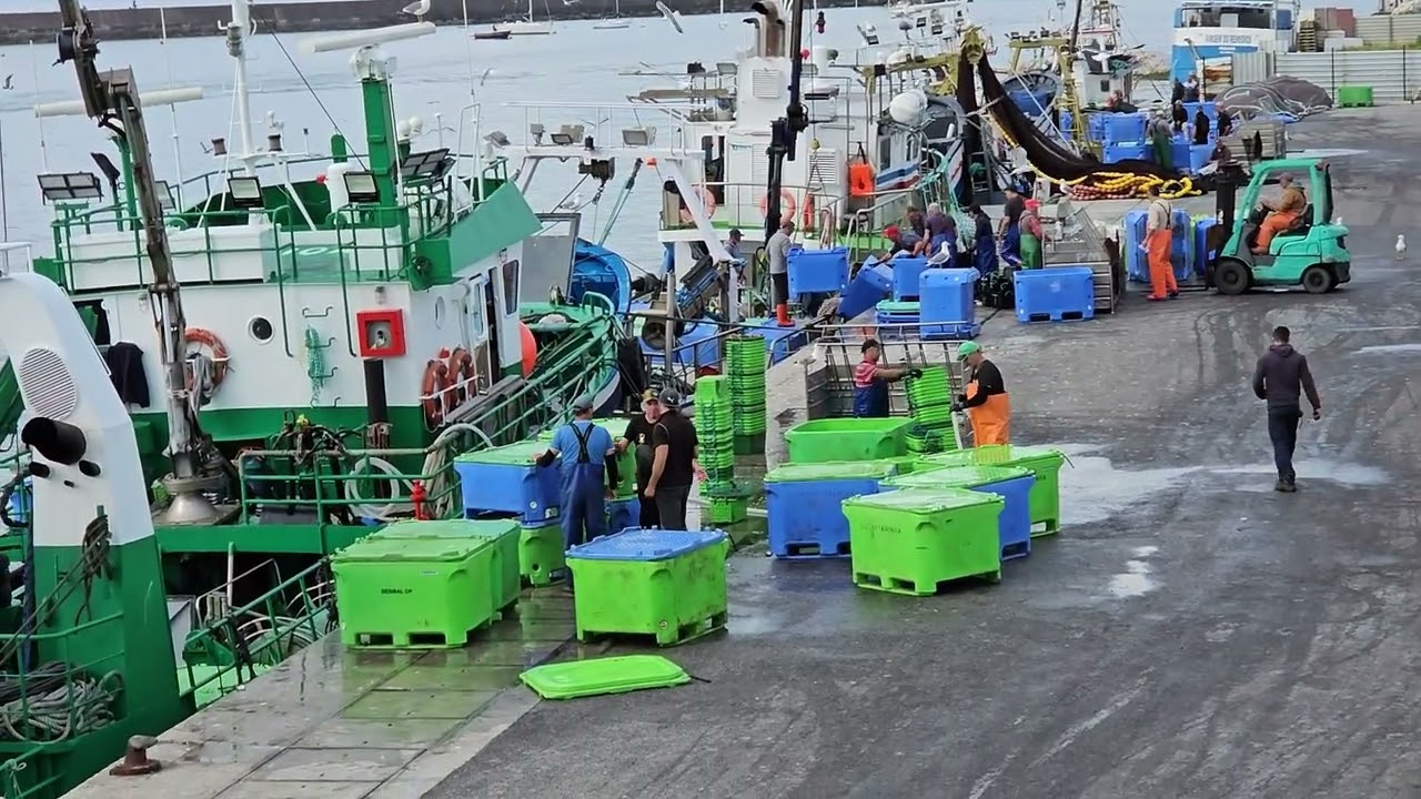Barcos, Homens e Cais 13