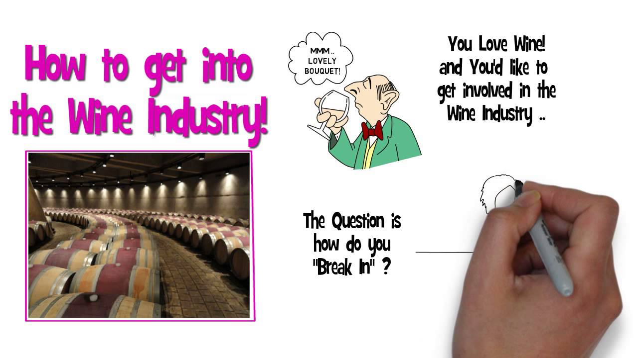 Winery Jobs: How to Get Into the Wine Industry?