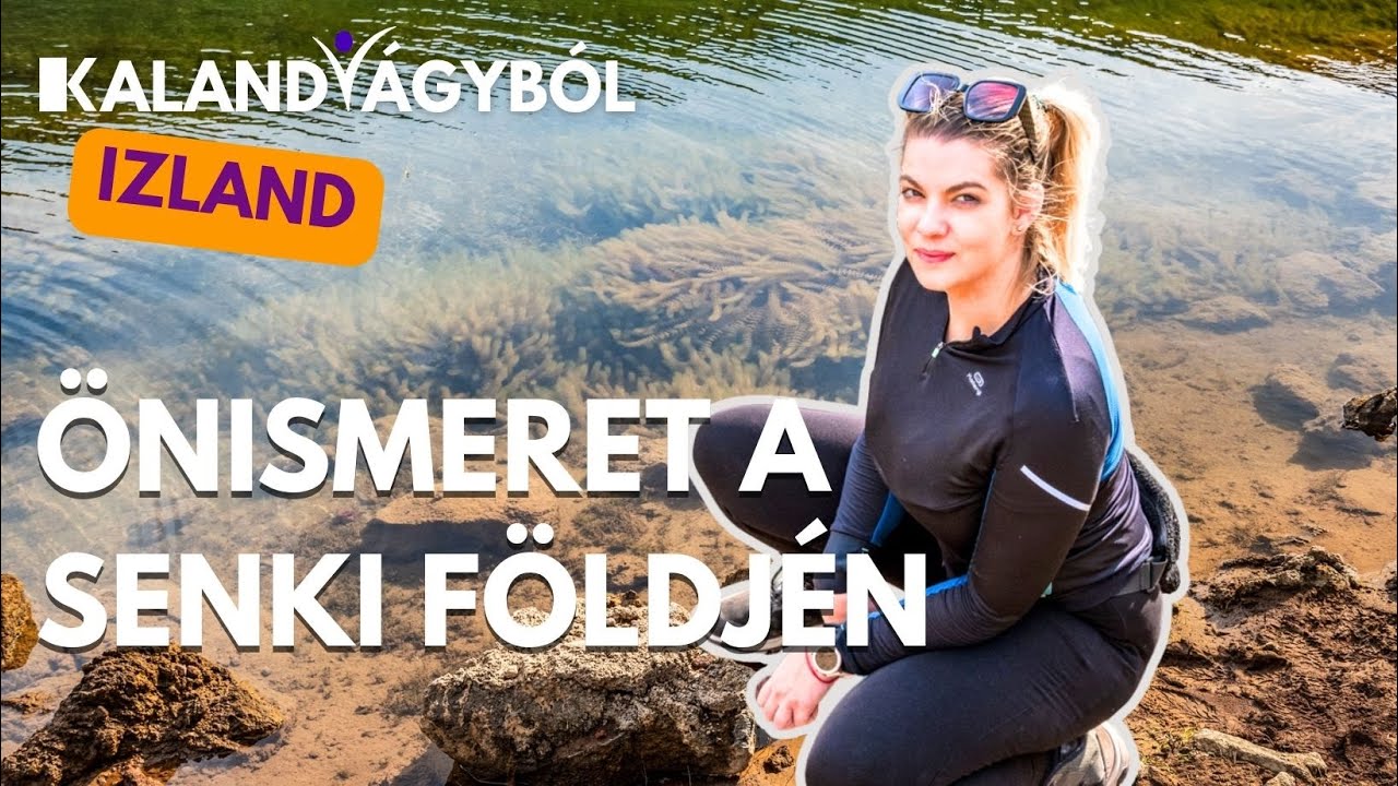 Magyar &iacute;r&oacute;nő, aki Izlandon lelt otthonra