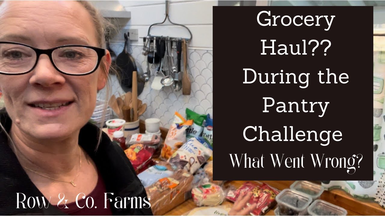 WE HAD A PROBLEM! |Grocery Haul During the Pantry Challenge