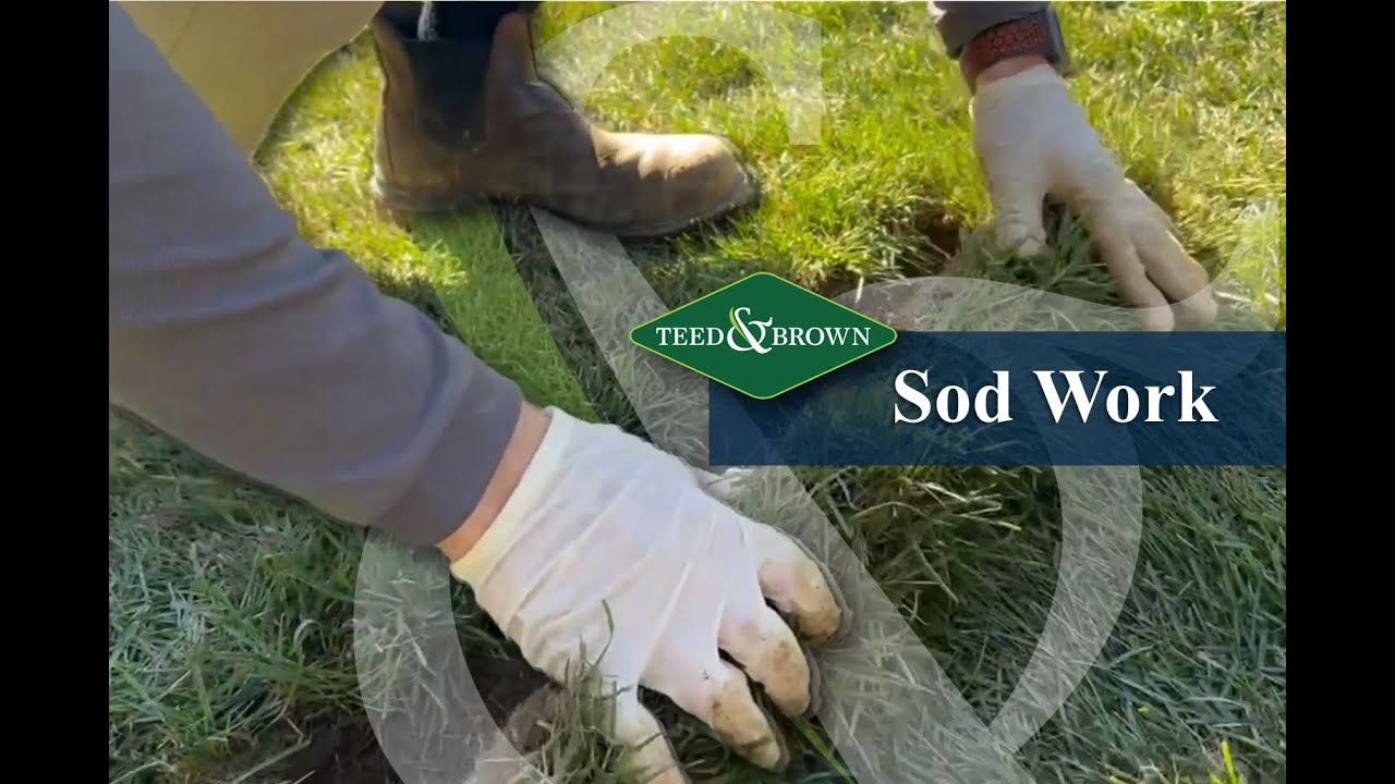 Sod Work with T&B