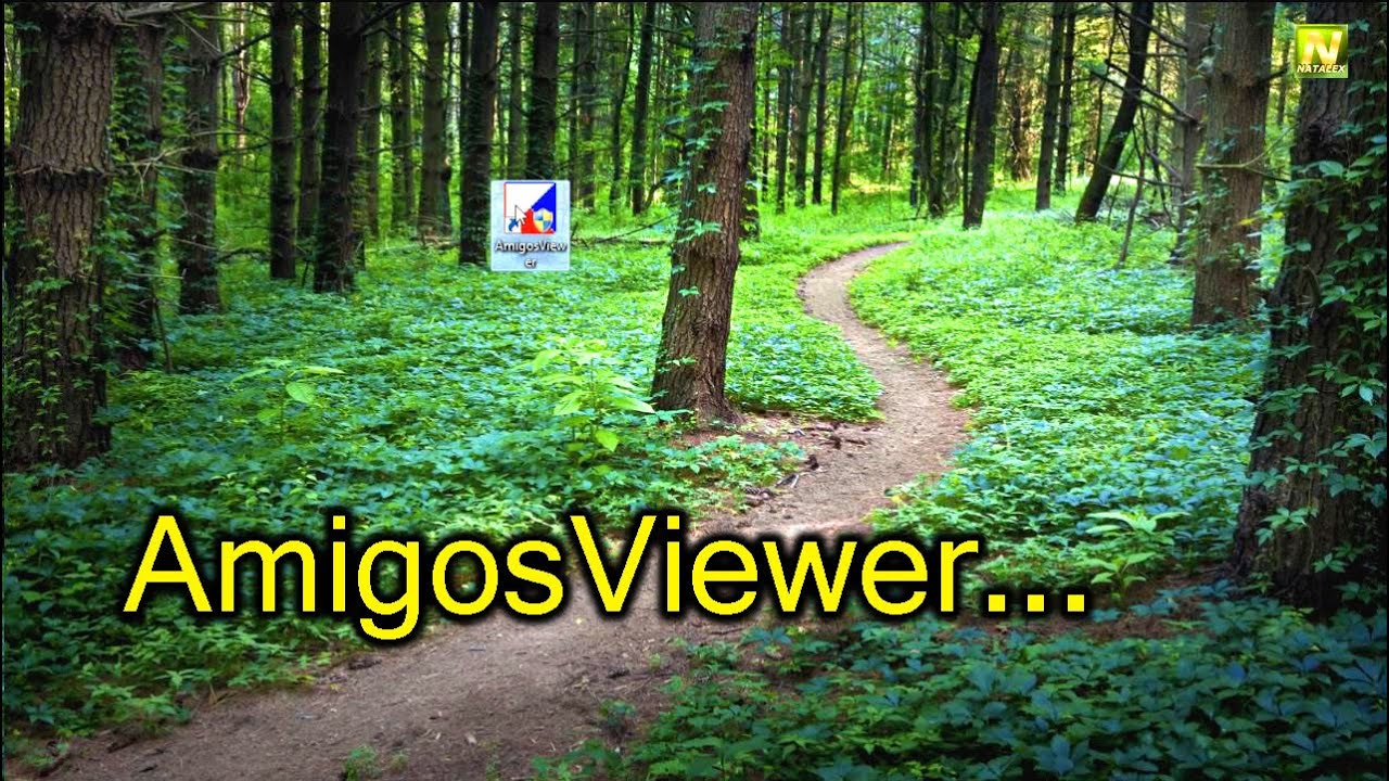 [Natalex] AmigosViewer...