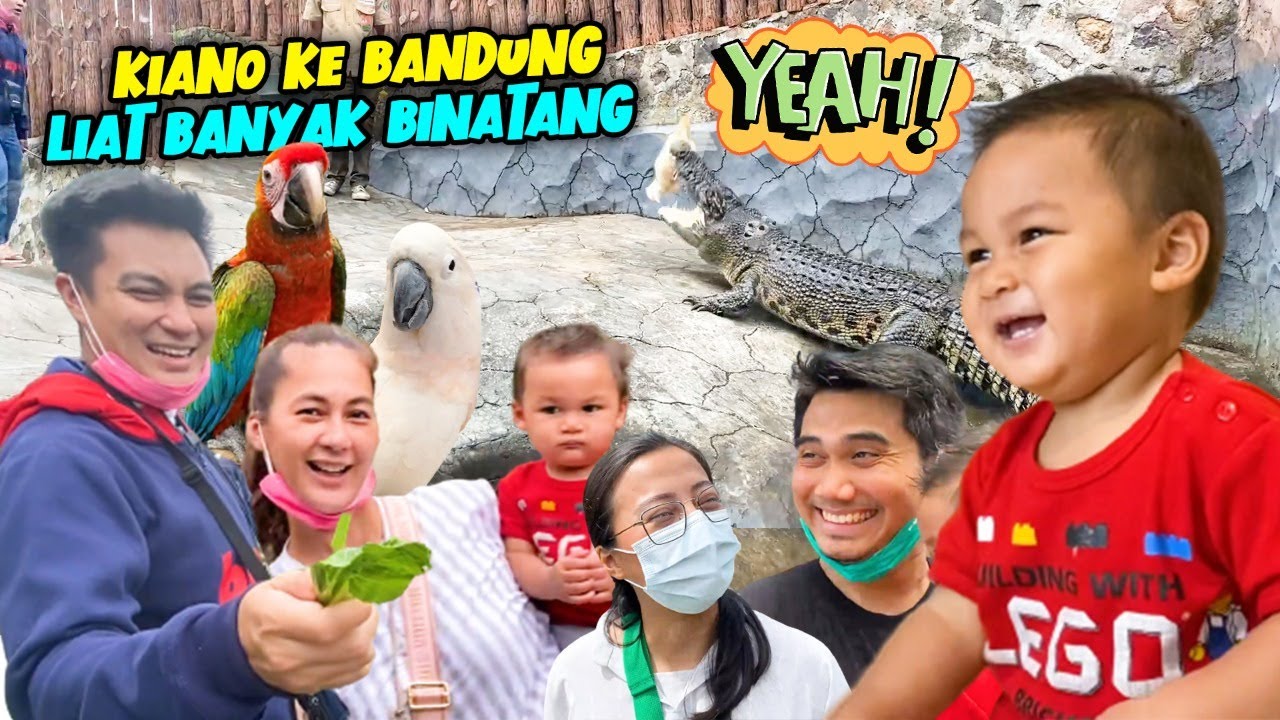 KIANO BANYAK KETEMU HEWAN HEWAN LIAR !!! KIANO PEMBERANI !!!
