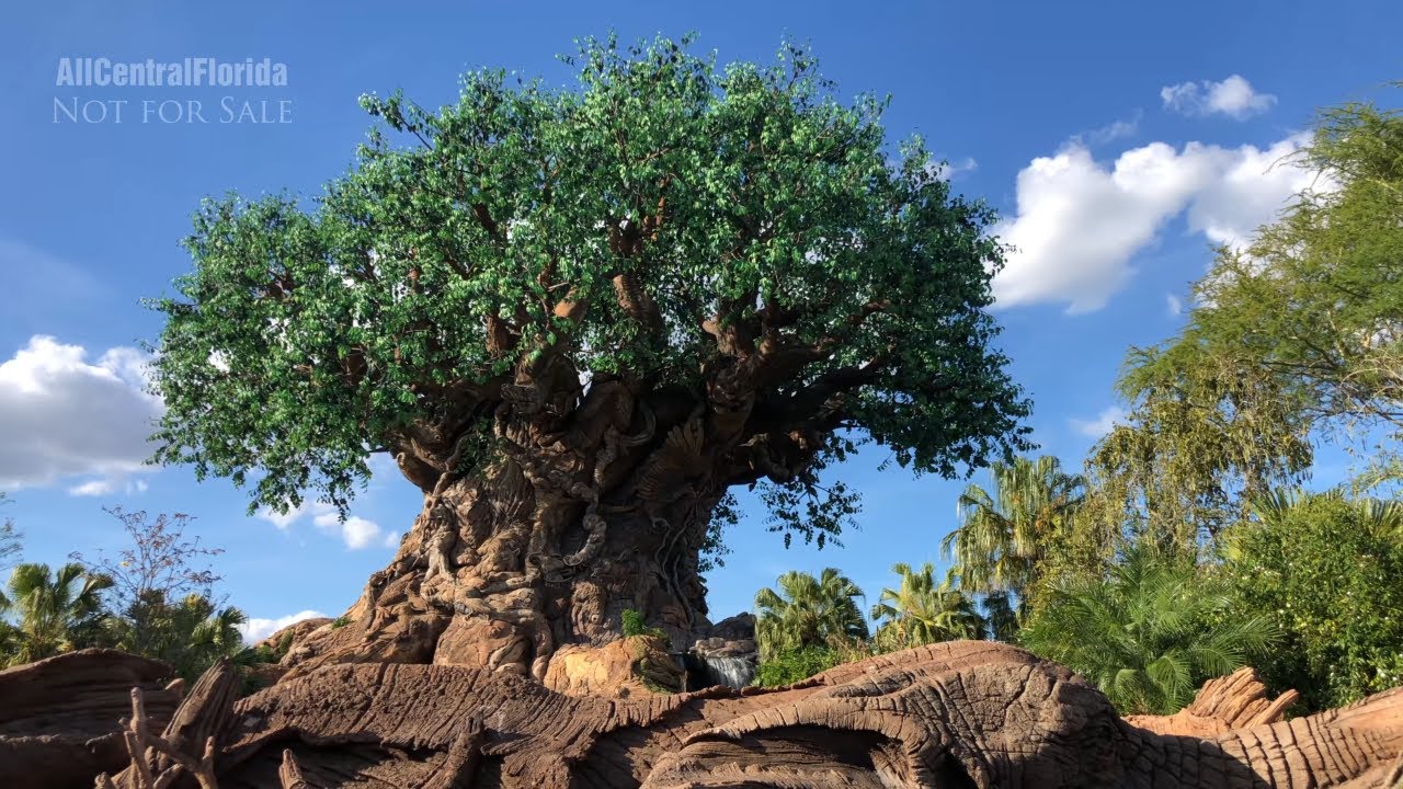 Disney's Animal Kingdom Walking Tour March 2020 | Walt Disney World [4K60]