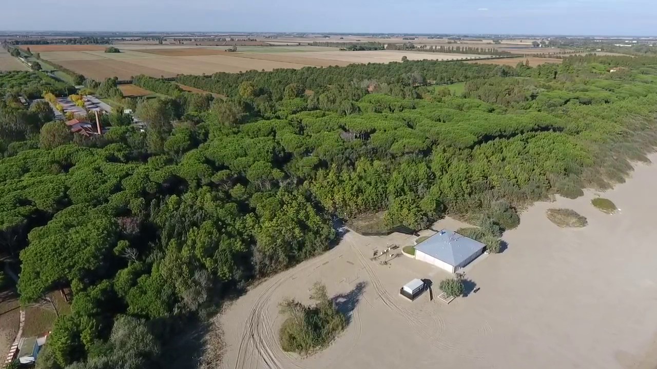 Eraclea Mare, spiaggia e pineta.