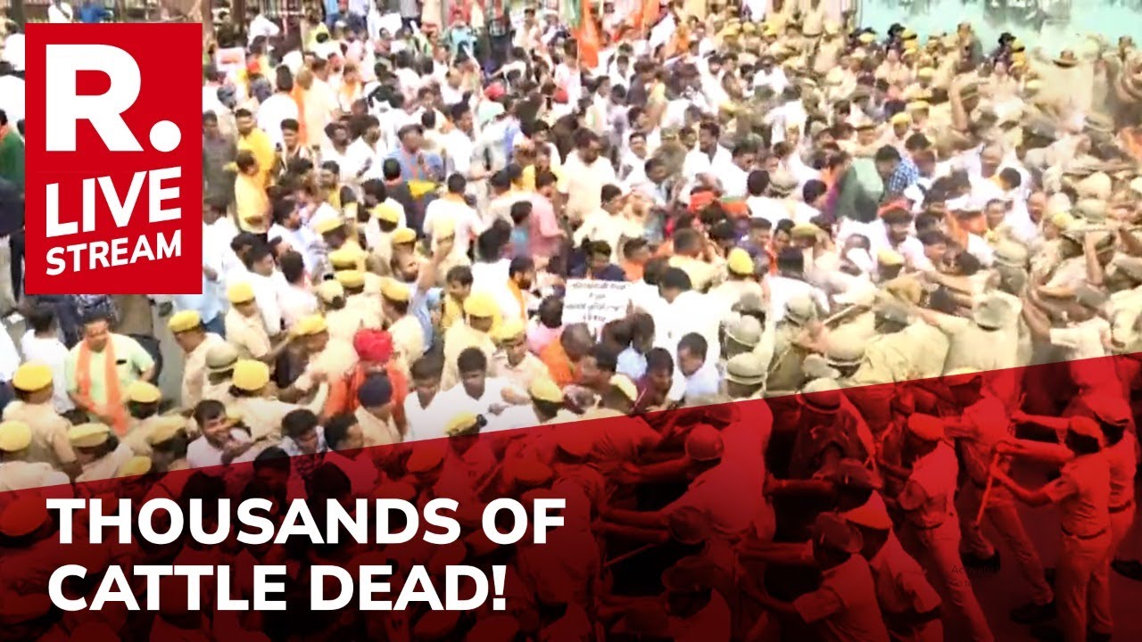 LIVE: Massive BJP Protest In Rajasthan After Lumpy Skin Disease Kills Thousands Of Cattle