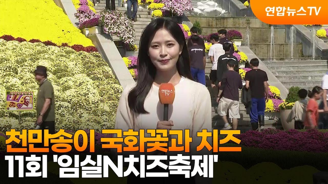 천만송이 국화꽃과 치즈…11회 '임실N치즈축제' / 연합뉴스TV (YonhapnewsTV)